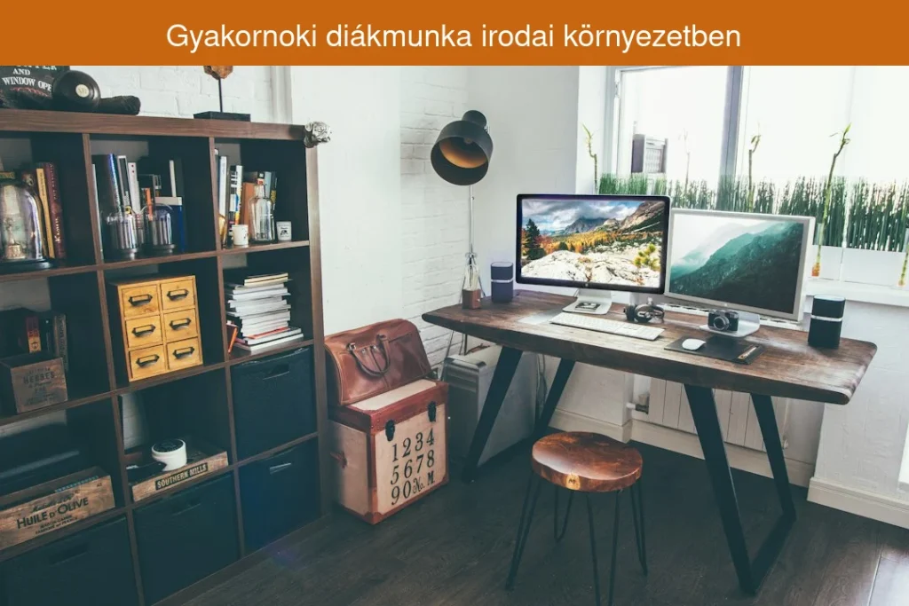 Gyakornoki diákmunka irodai környezetben