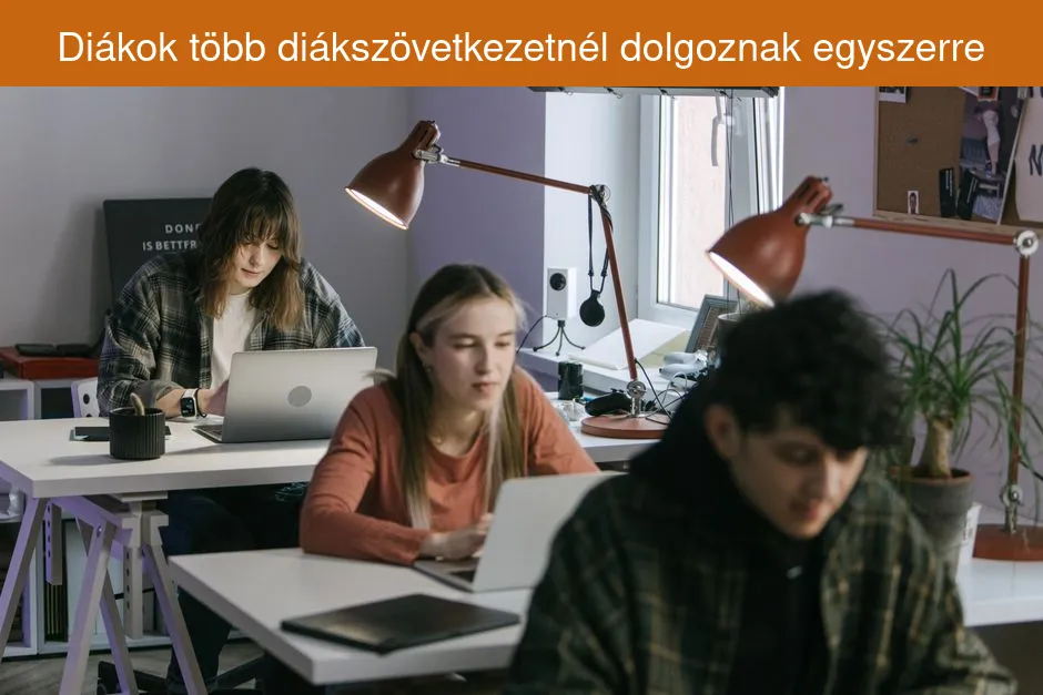 Diákok több diákszövetkezetnél dolgoznak egyszerre